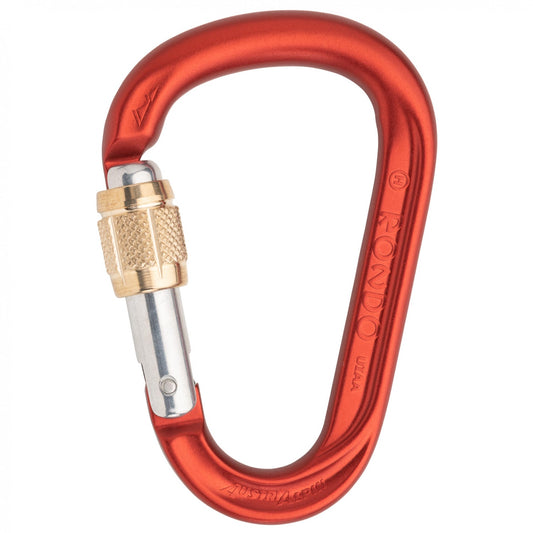 AustriAlpin Carabiner